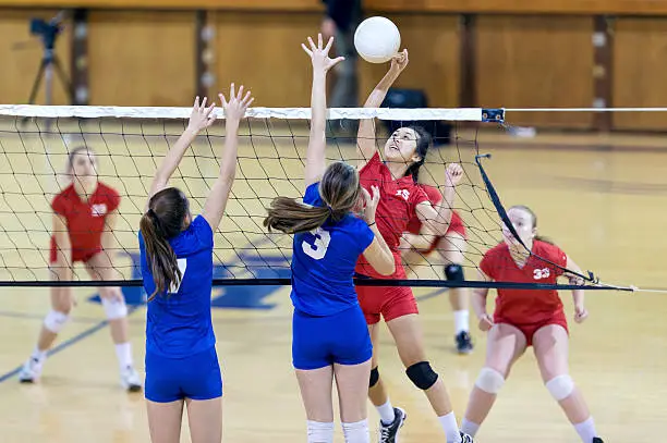 Volleyball Team